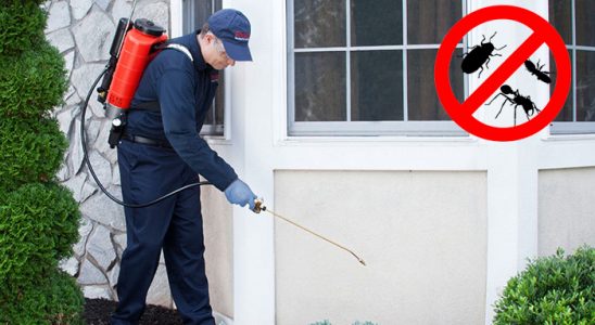 Ula Hamam Böceği İlaçlama böcek ilaçlama ve haşere kontrolü — ilaclama-tr.com